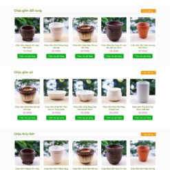 Theme wordpress bán chậu cây